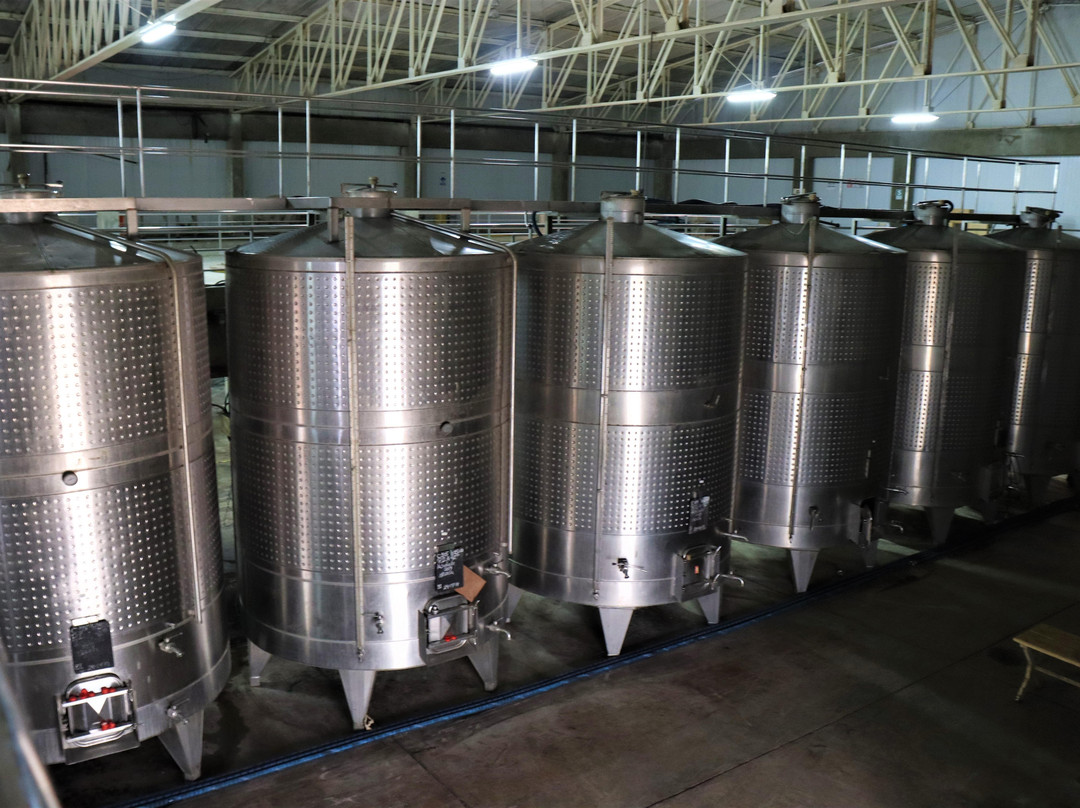 Travel Adventures Peru-Huacachina必去景点