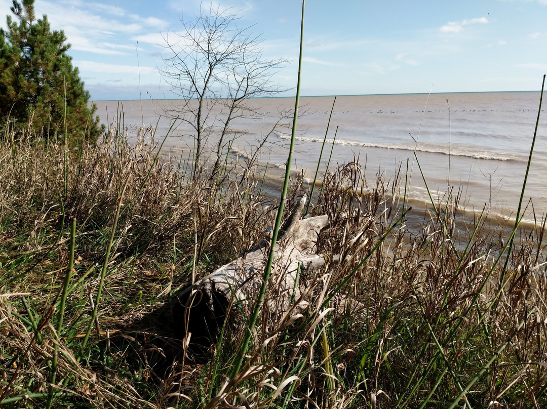 Point Creek Conservation Area-Cleveland必去景点