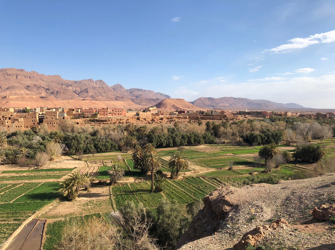 Sahara Luxury Trips-卡萨布兰卡必去景点