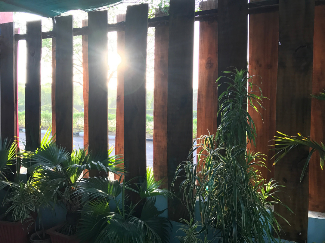 Kalaneri Art Gallery-斋蒲尔必去景点