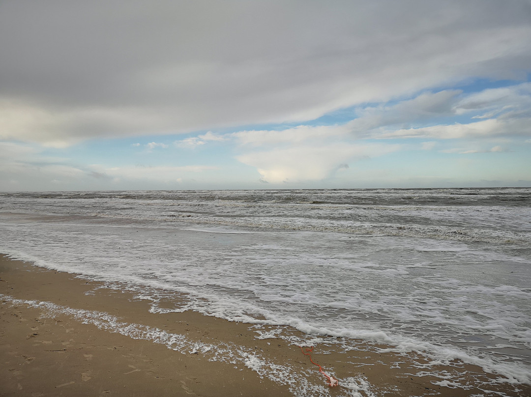 Skallerup Seaside Resort景点图片