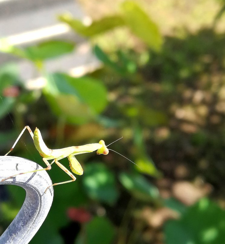 巴里岛涅槃度假村主图