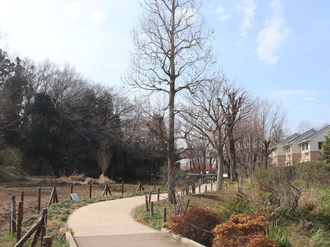 Sugatami no Ike-国分寺市必去景点