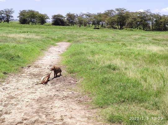 Bush Company-马林地必去景点