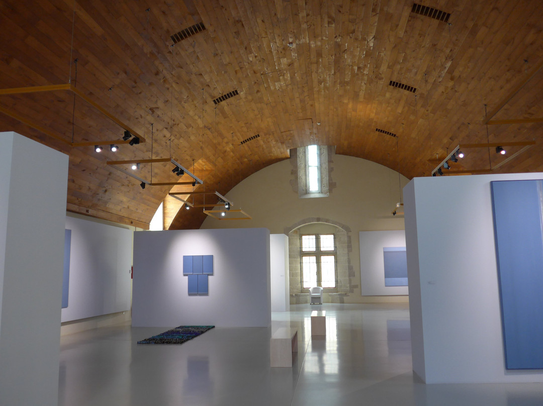 Musée des Beaux Arts- La Cohue-瓦讷必去景点