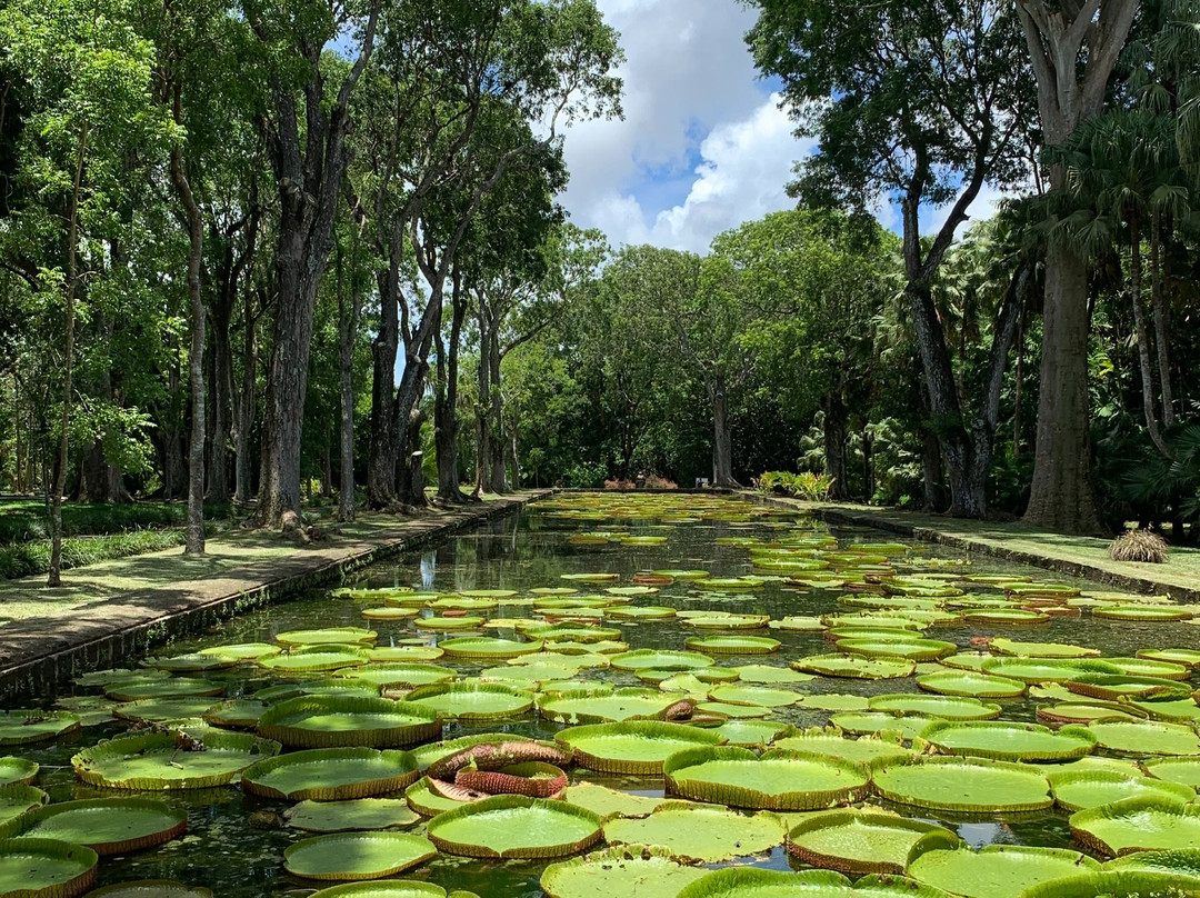 Eco Holidays Mauritius景点图片