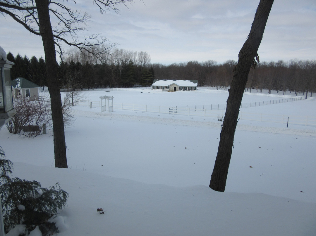 The Speckled Hen Inn Bed & Breakfast主图