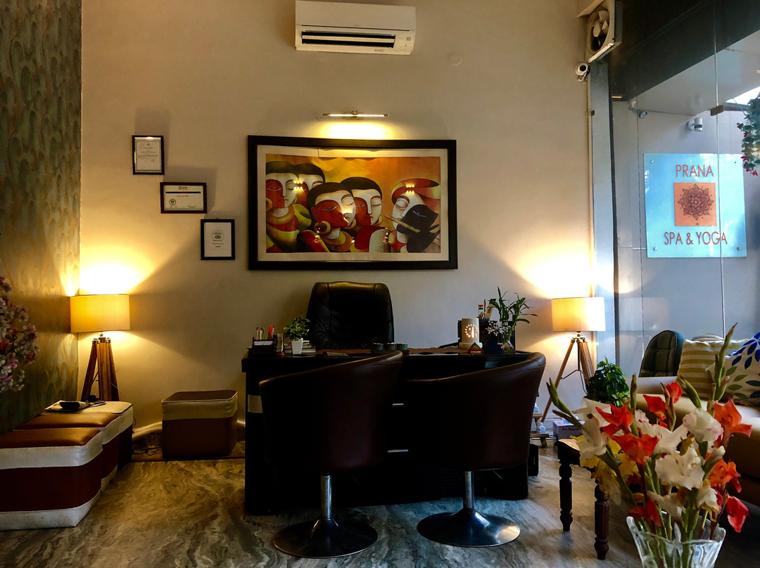 Prana Spa & Salon景点图片