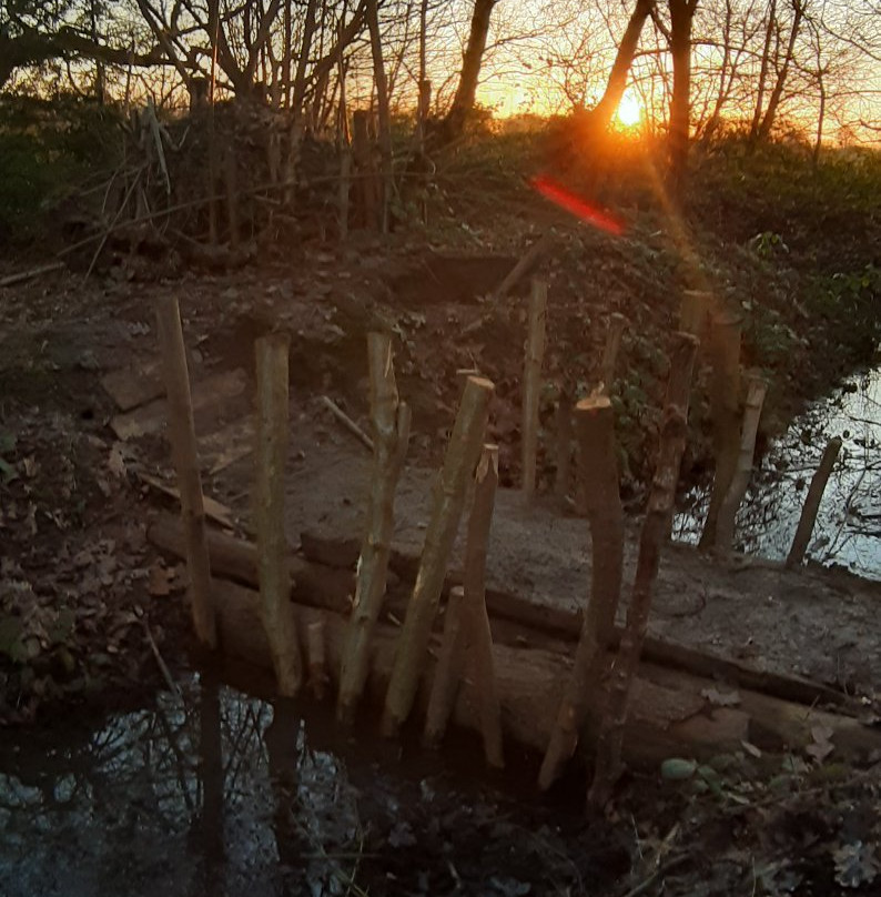 Hill Holt Wood景点图片