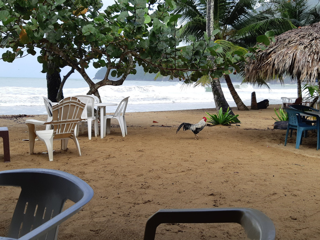 Playa El Valle景点图片