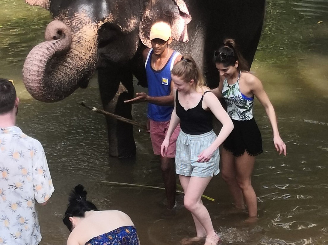 Ferien lanka tour-品纳维拉必去景点