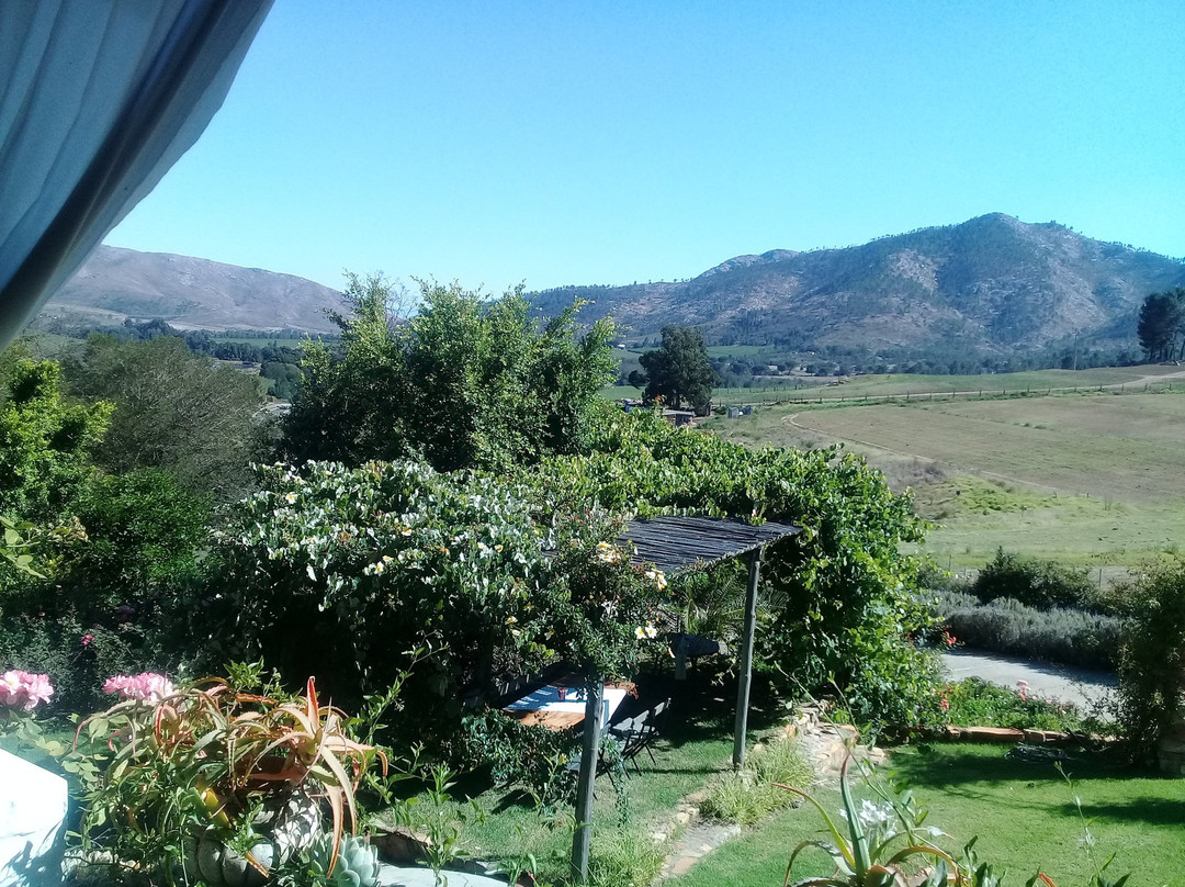 Outeniqua Pass-乔治必去景点