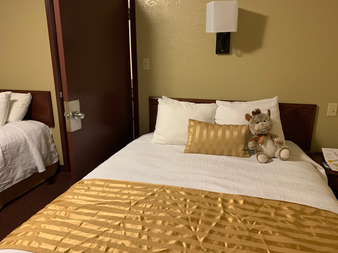 The Russell Inn Hotel & Conference Centre主图