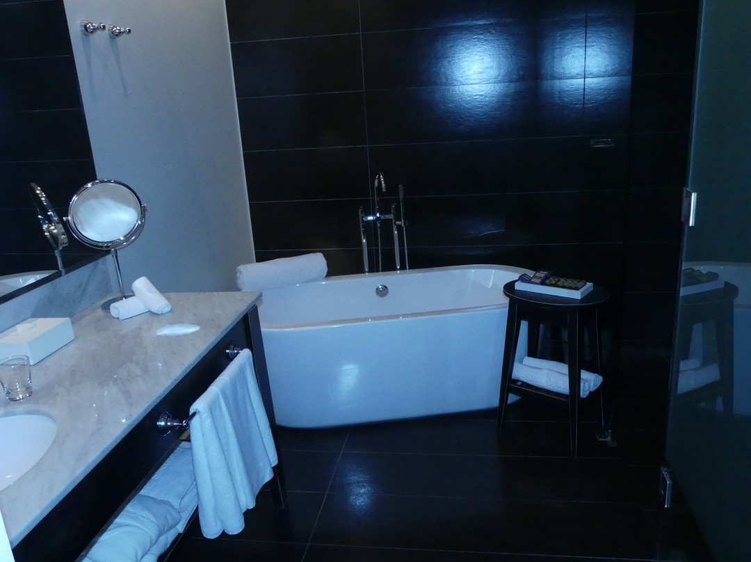 辛格勒巴塔哥尼亚酒店主图