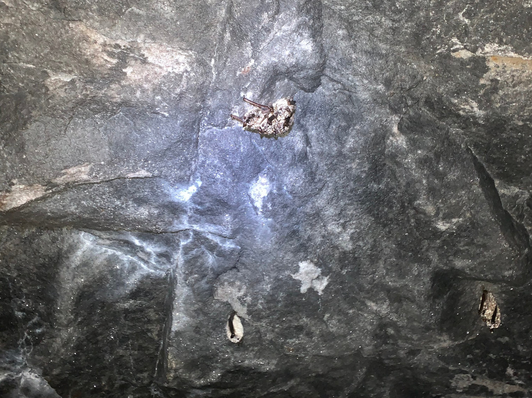 Arbraska Lafleche-Val-des-Monts必去景点