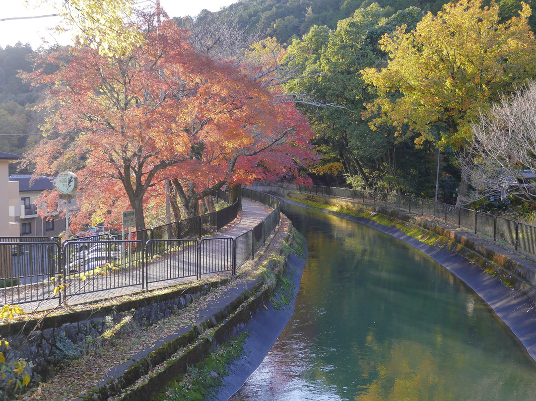 Yamashina Canal景点图片