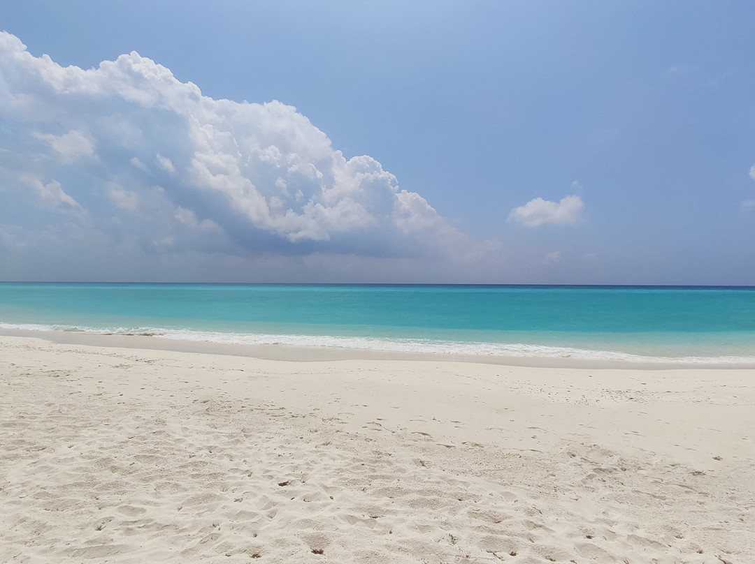 棕榈海滩度假村主图