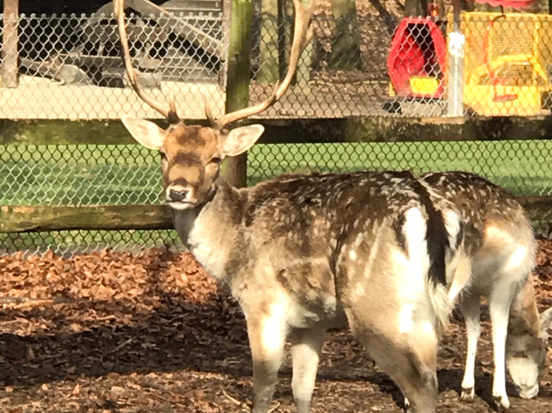 Tierpark Tannenbusch-Dormagen必去景点