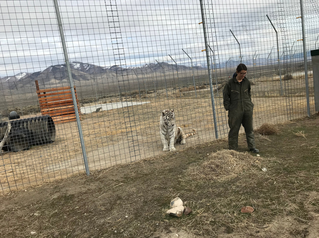 Safe Haven Wildlife Sanctuary-Imlay必去景点