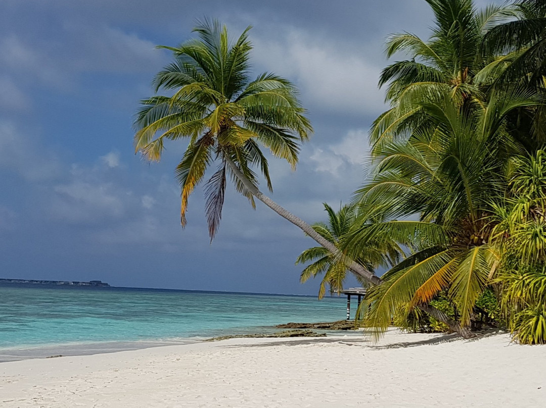 马尔代夫自然天堂度假酒店主图