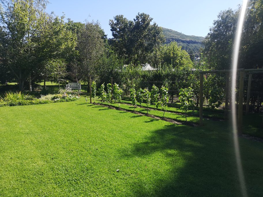 Millpond House主图