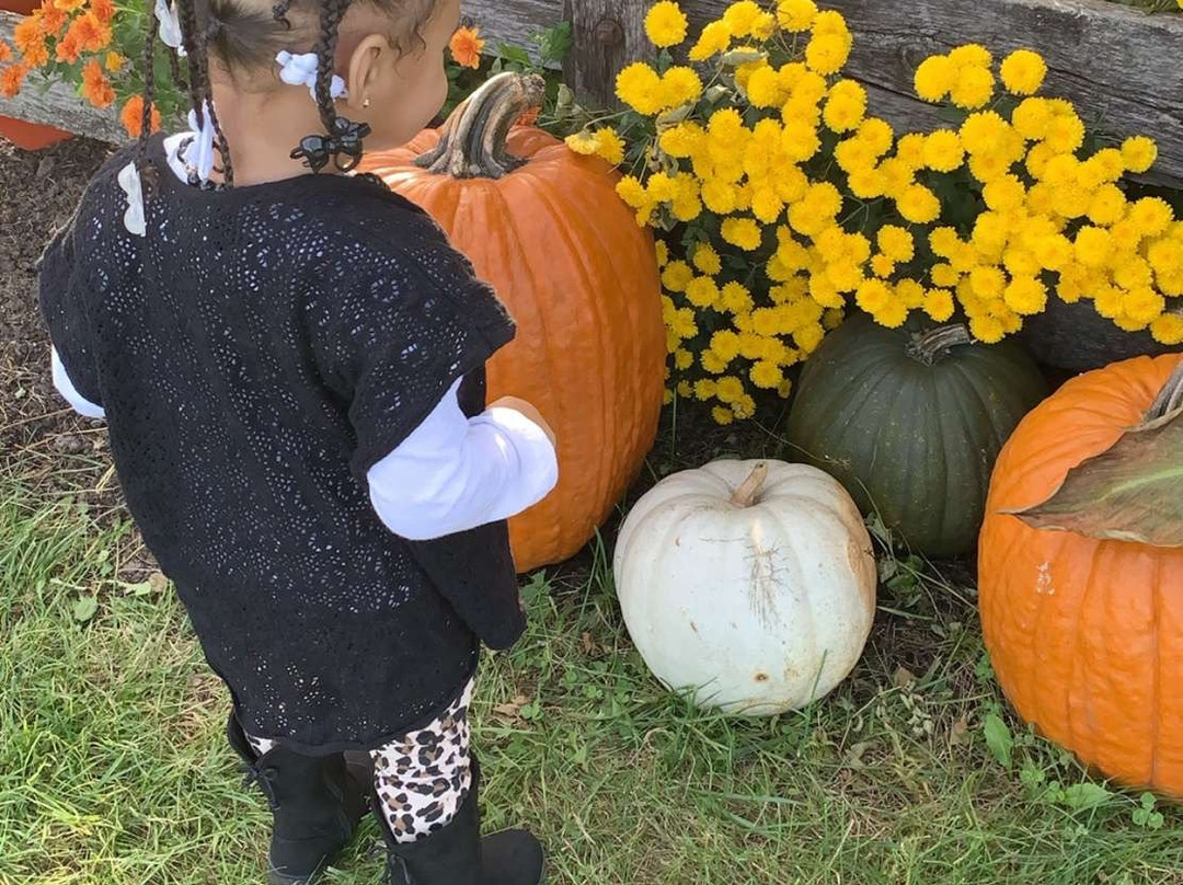 Valley Orchard-Cherry Valley必去景点