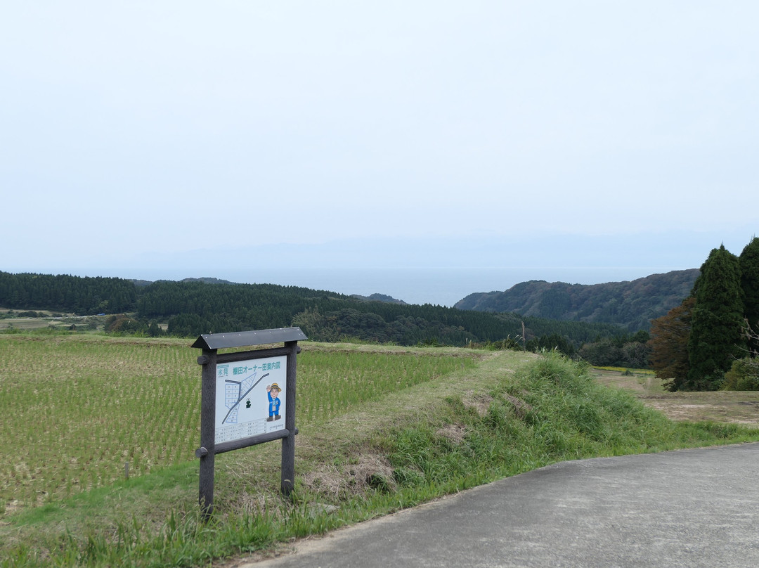 Nagasaka Rice Terraces景点图片