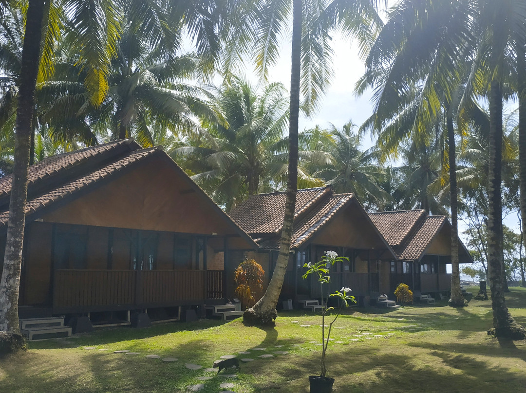 Sumatra Surf Resort主图