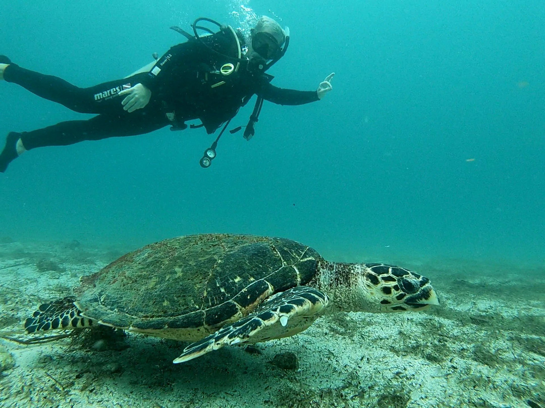 SeaQuest Sub-阿拉伊阿尔港必去景点