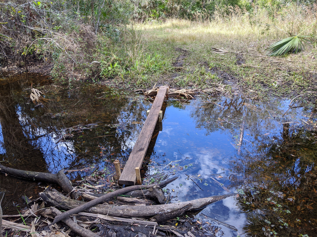 Jelks Preserve-威尼斯必去景点