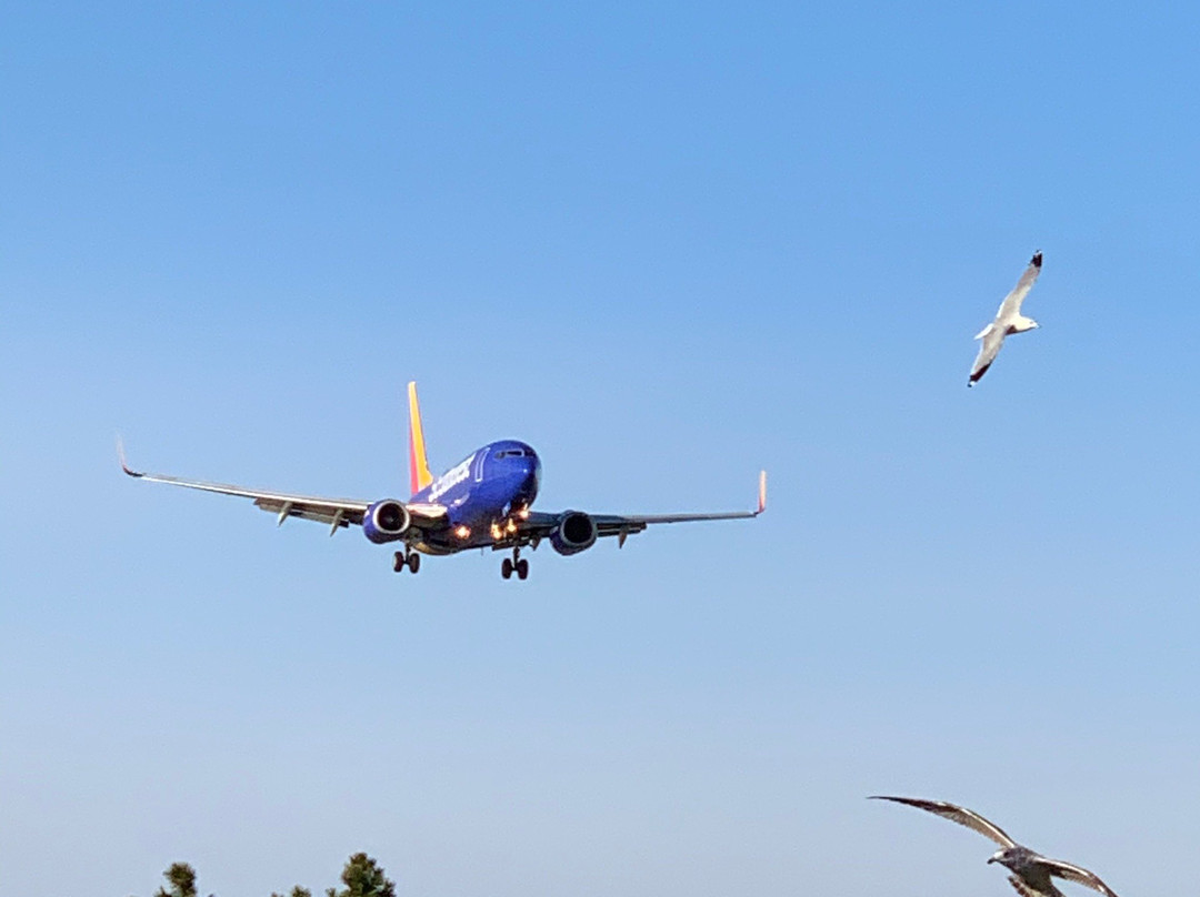 Gravelly Point Park-阿灵顿必去景点