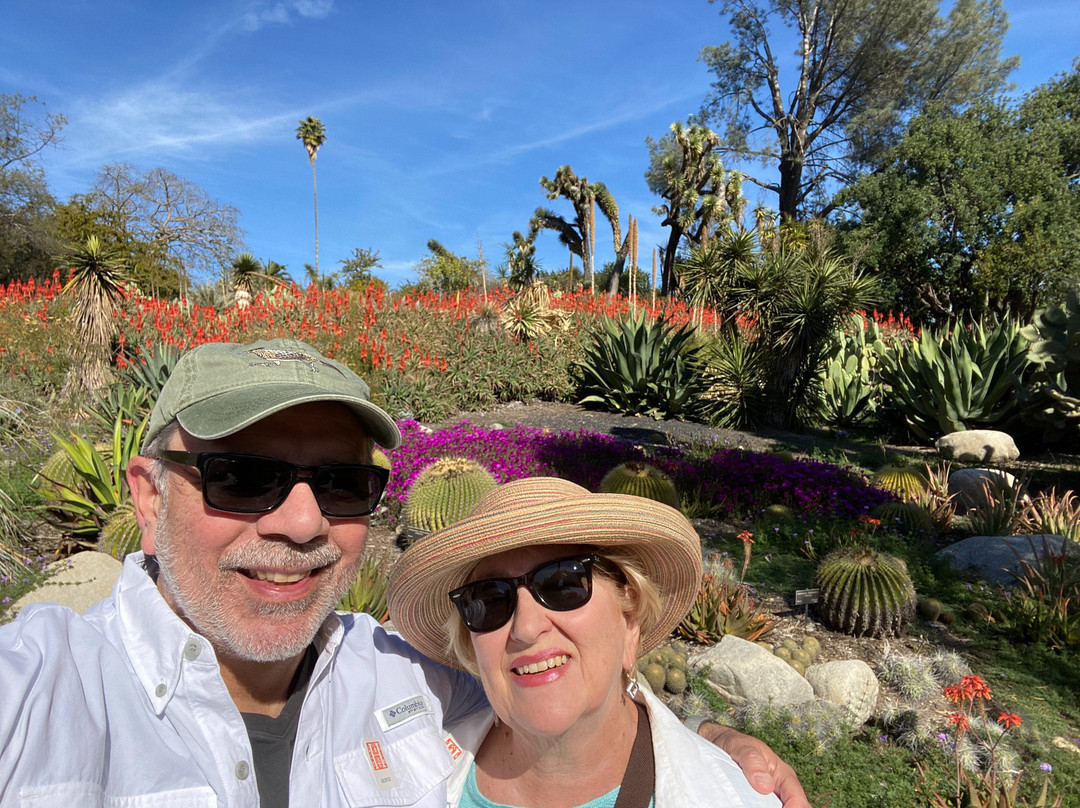 The Huntington Desert Garden-圣玛利诺必去景点