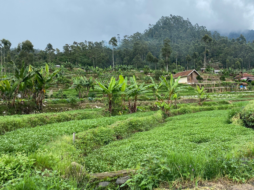 Diaz Travelindo-万隆必去景点