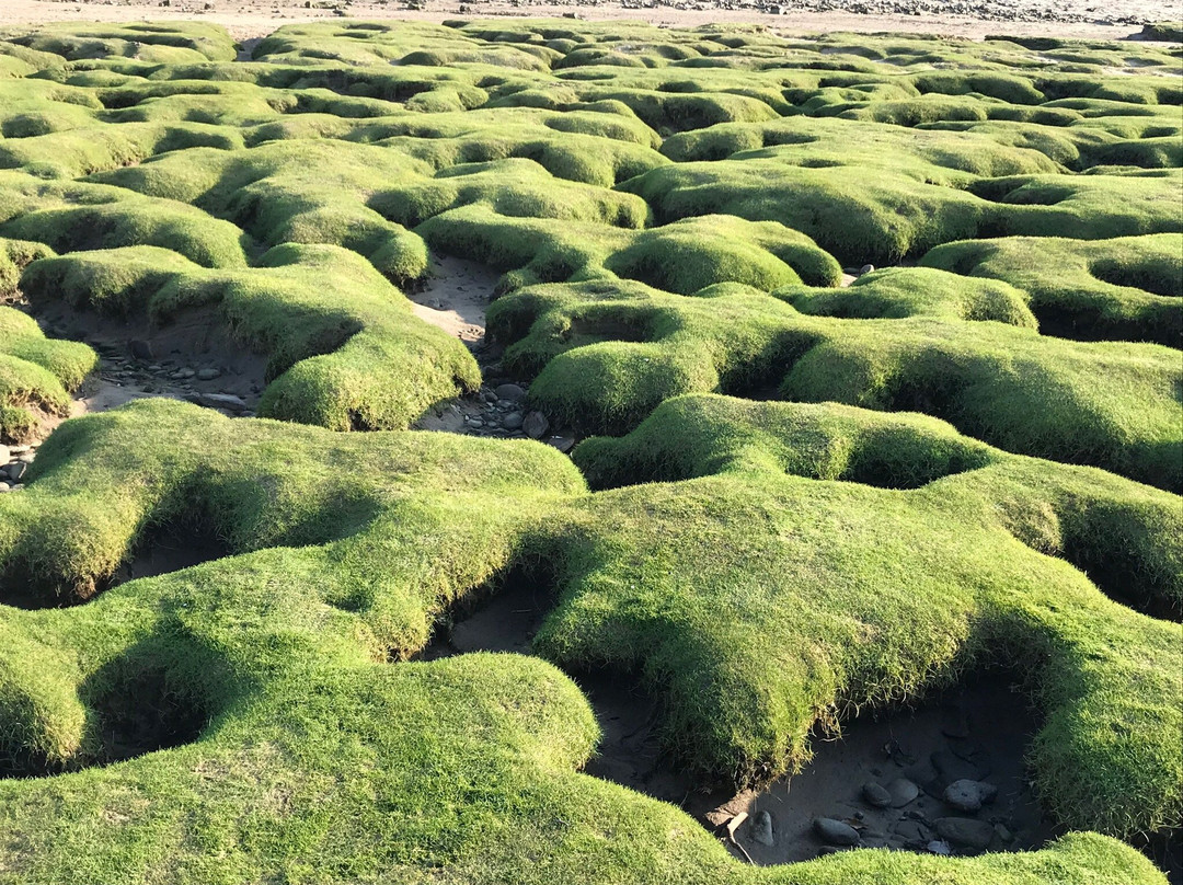 Merthyr Mawr Sand Dunes景点图片