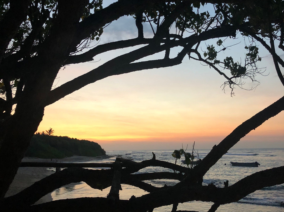Mirissa Snorkeling Tours-美蕊沙必去景点