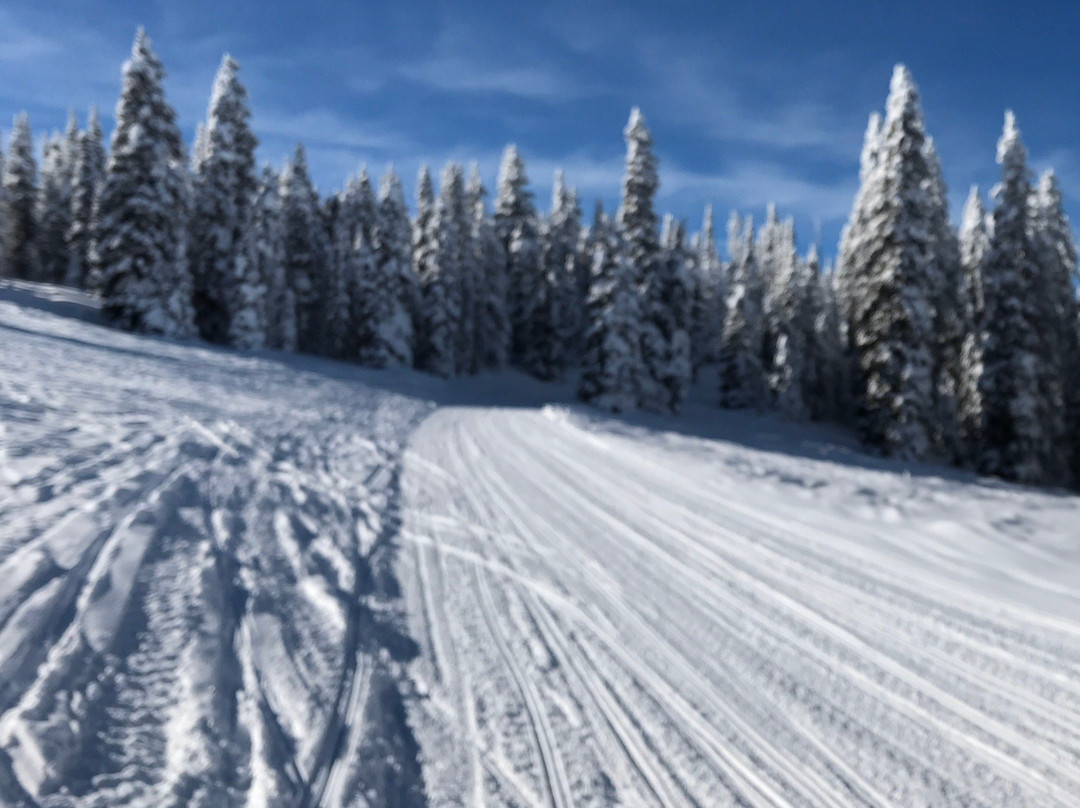 Travelers Snowmobile Rentals-西黄石镇必去景点