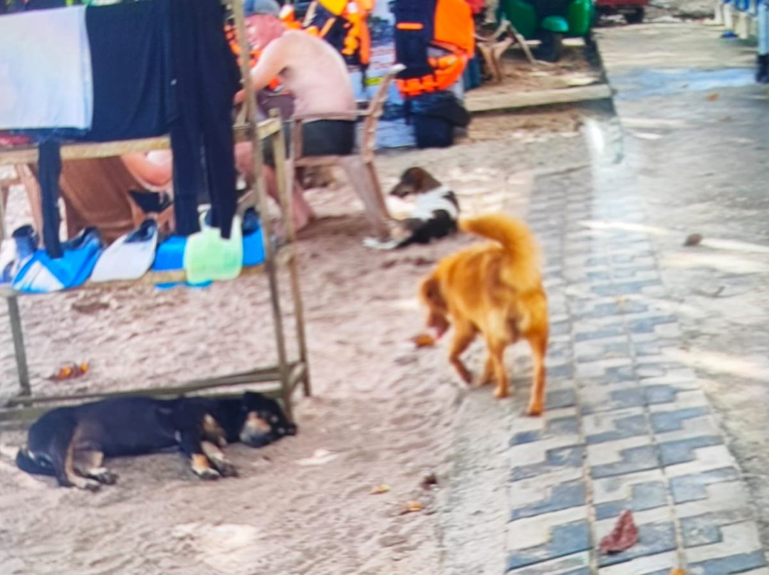 Paradise Beach Resort主图