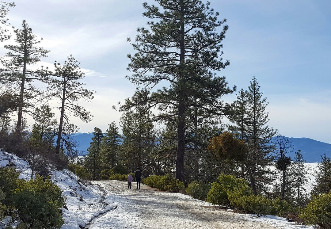 Prescott Park景点图片