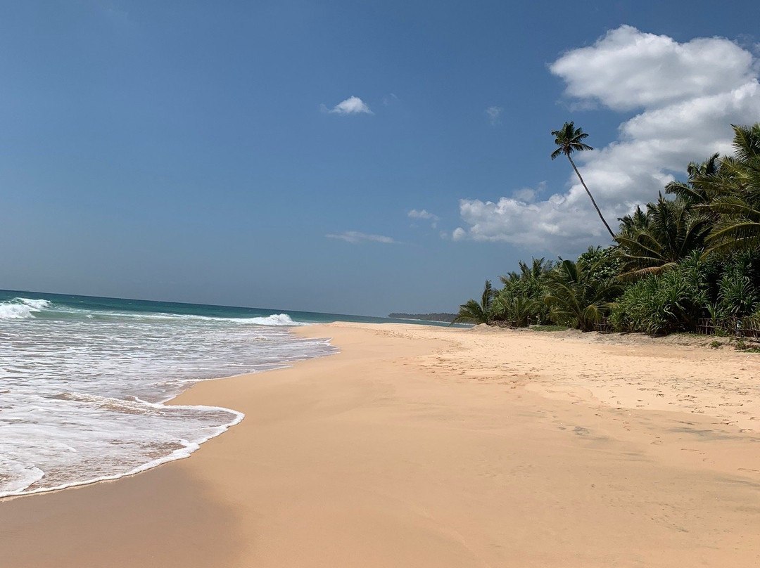 Thalpe Bungalows主图