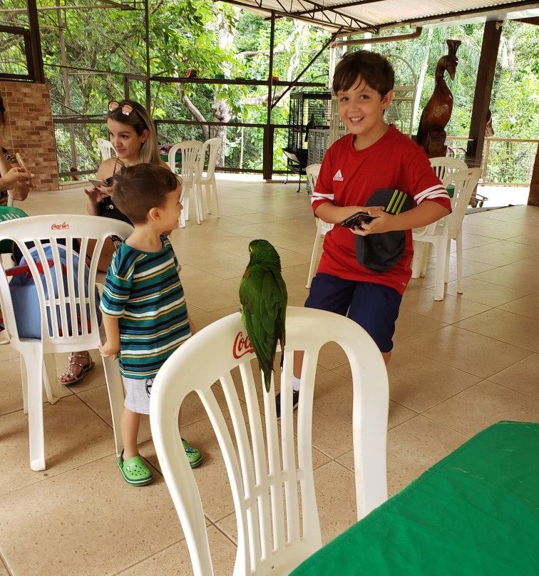 Joãozinho da Matinha Reserva Biológica景点图片