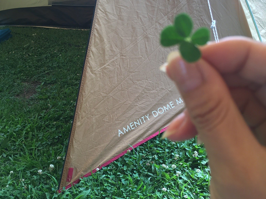 Snow Peak Headquaters Camp Field主图