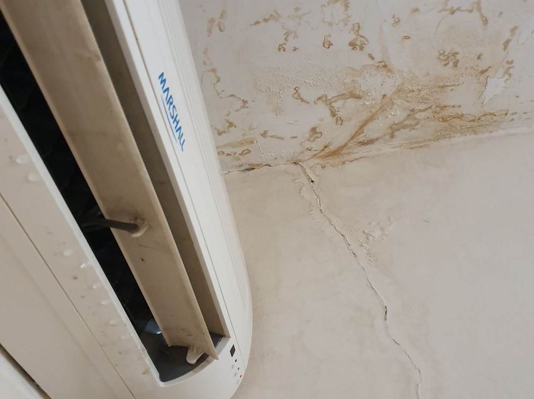 Gran Hotel Avenida主图