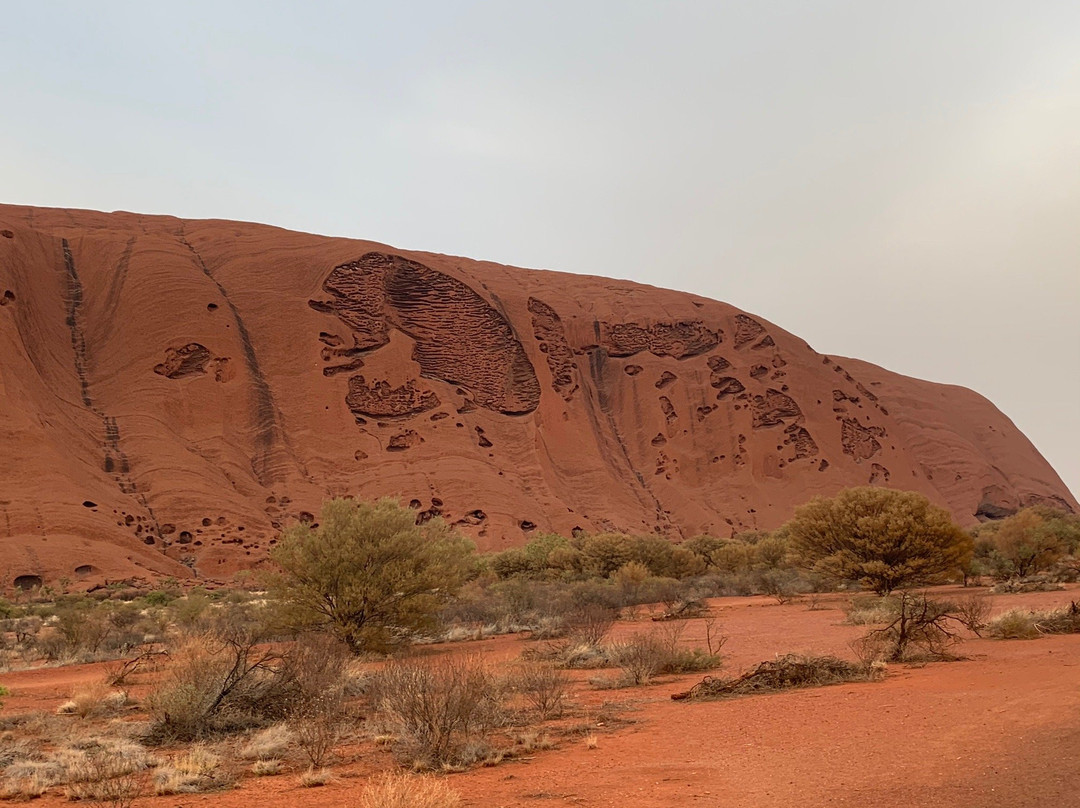 Outback Tour Services-爱丽斯泉必去景点