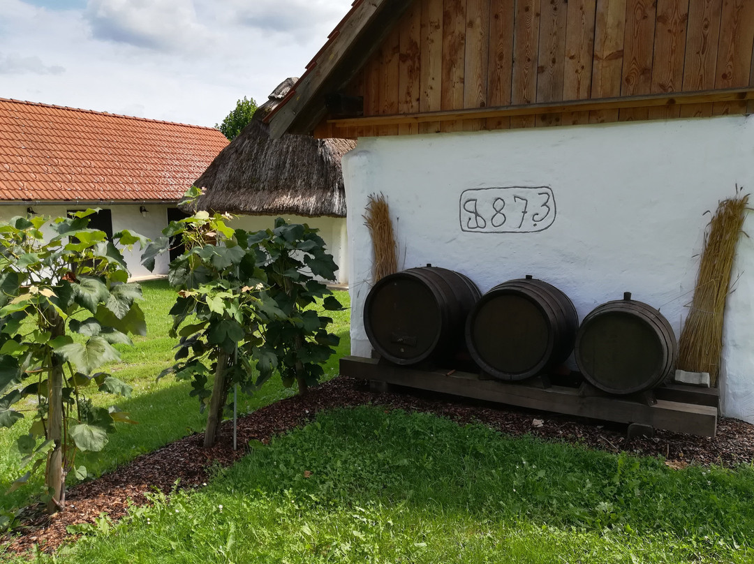 Weinmuseum Moschendorf-Gussing必去景点