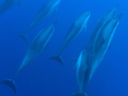 Bay Side Adventures-库克船长必去景点