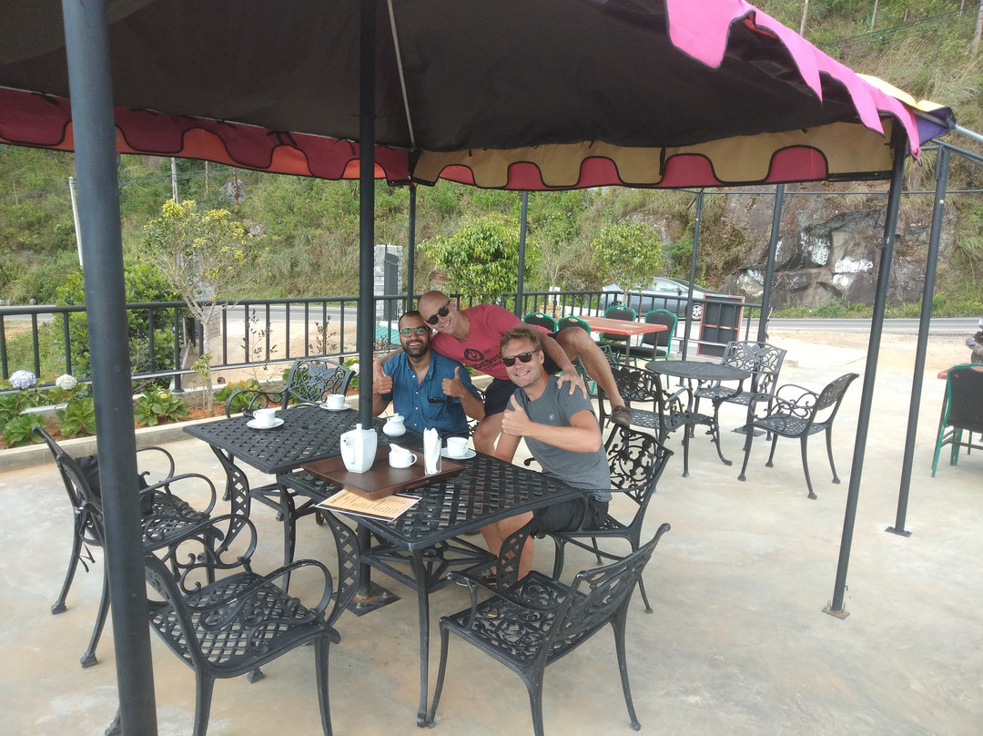 Shangrilla Tea Haven Motel主图