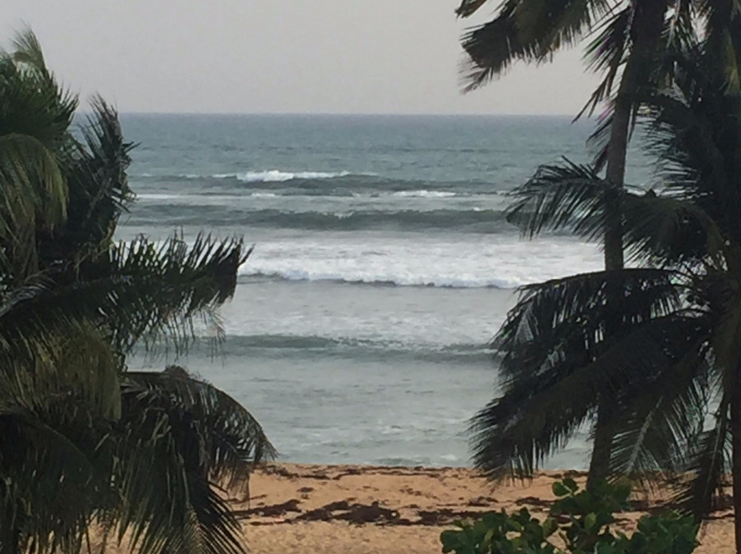 Afiki Beach House主图