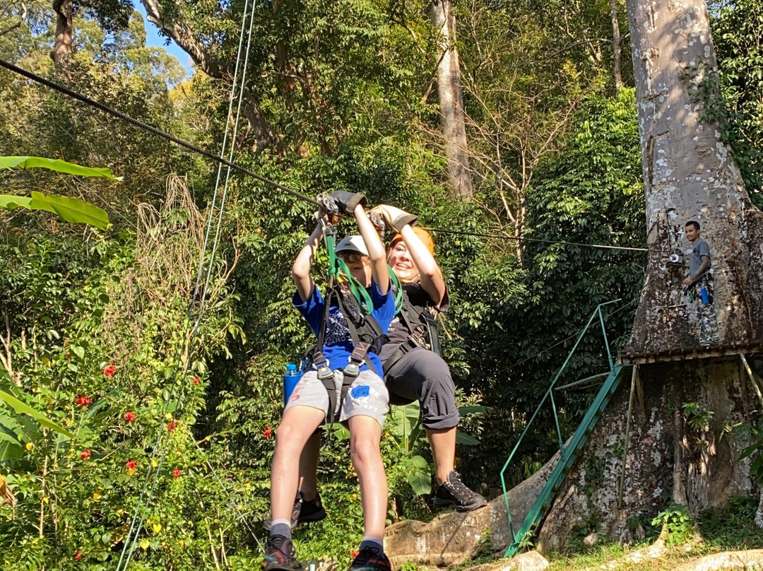 Cable Jungle Adventure景点图片