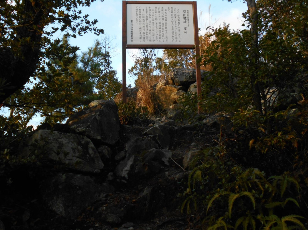 Shiroyama Hiketacastle景点图片