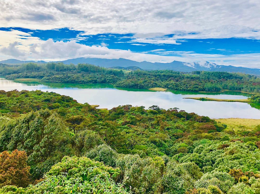 Tranquil Villa主图